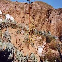 Las mejores ofertas de Cueva El Pataseca Gorafe